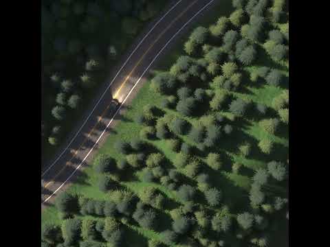 Virtual Forest Drive: A Stunning 3D Journey - 3D