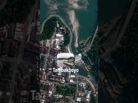 Motion Graphic - Motion Design