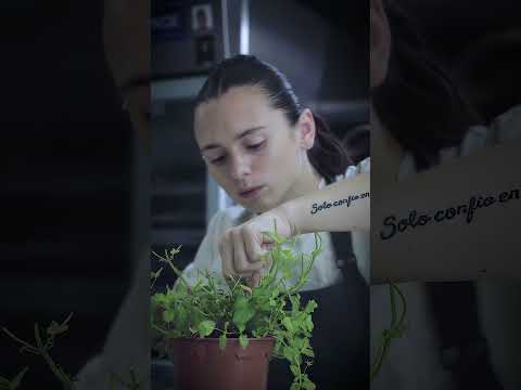 Creación de contenido para Pastelería. - Producción vídeo