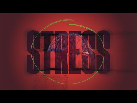 Stressnetwork — Animation video - Markenbildung & Positionierung