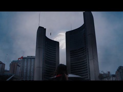 Toronto Raptors - Online Advertising