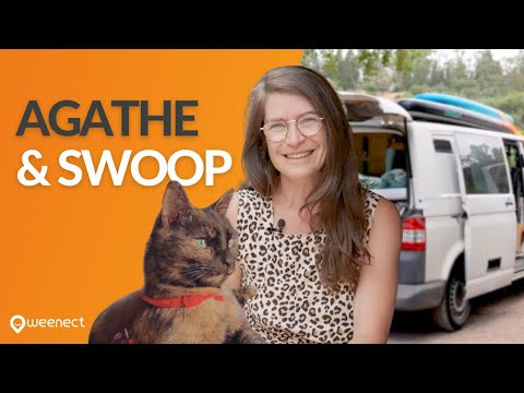 Agathe & Swoop - Client Testimonial - Producción vídeo