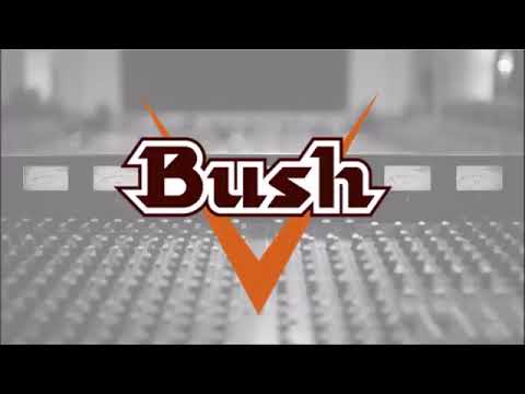 Bush Beer - Estrategia de contenidos
