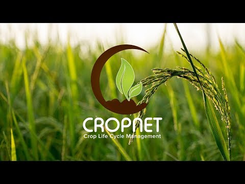 CropNet - Web Application