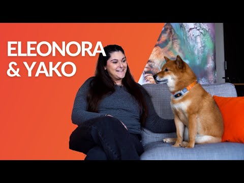 Eleonora & Yako (B2B) - Video Productie