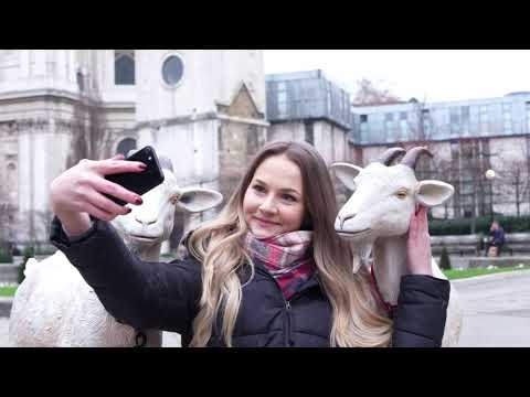 Travel With a Goat - Public Relations (PR)