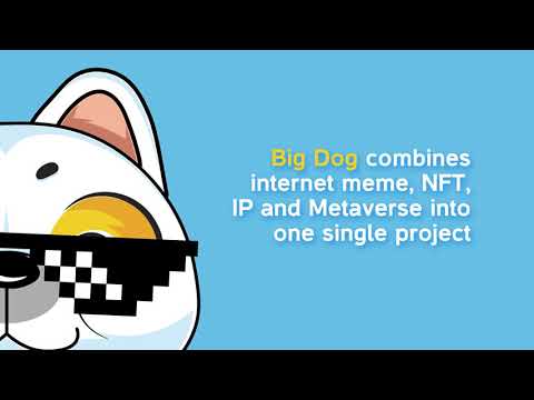 BIG DOG | Promo Video - Motion Design