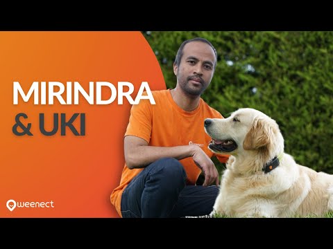 Mirindra & Uki (B2B) - Video Productie