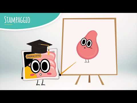 Parmacotto Educational - Grafikdesign