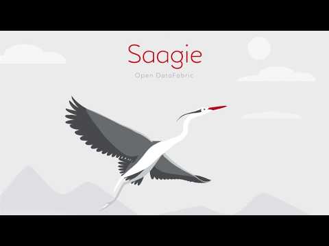 Saagie - Animation