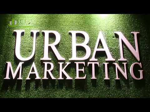 Digital Marketing Services - Référencement naturel
