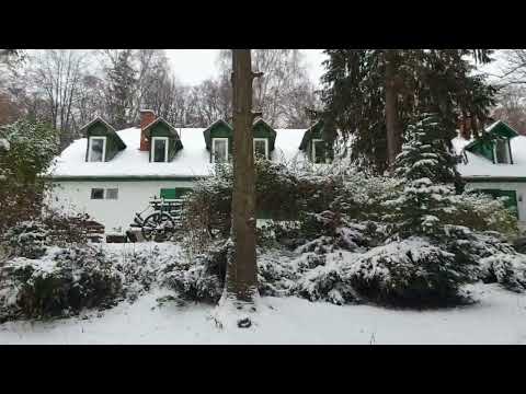 Vintage Tourist House in the forest: Fehérkőlápa - Digital Strategy