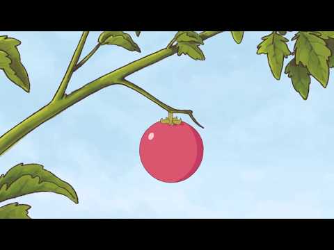 TEA Short Animation Teaser - Produzione Video
