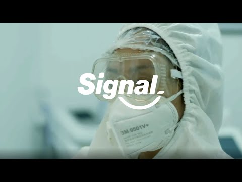 Signal Campaign - Fotografía
