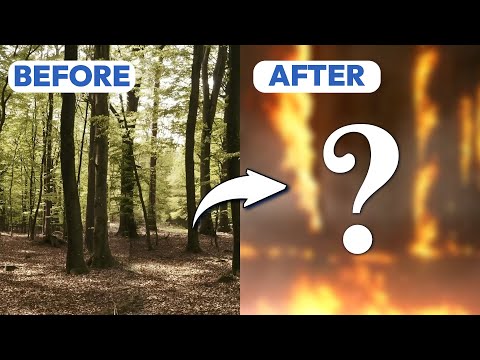 VFX - Nature Art - Forest Fire With Sound - Diseño Gráfico