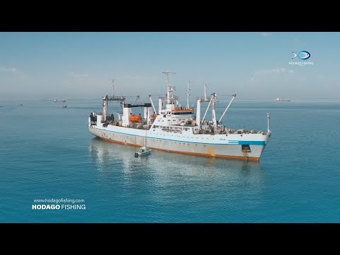 Video Production - Fishing Industry - Video Production