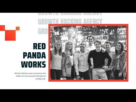 Red Panda works rebrand and brand architecture - Branding y posicionamiento de marca