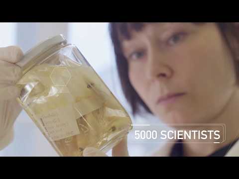 Promotional video scientific project - Producción vídeo
