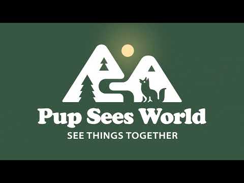 Pup Sees World | 2D Logo Animation by Anideos - Diseño Gráfico