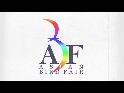 Marketing and Event Coverage for 10th ABF