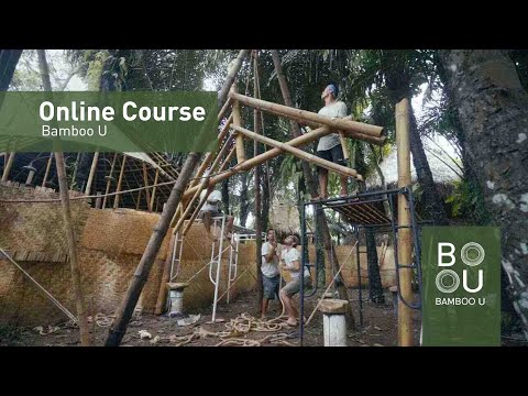 Bamboo U online course 100+ videos - Produzione Video