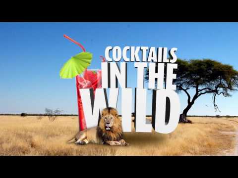 "Cocktails In The Wild 2" Commercial - Motion Design