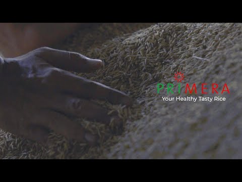 Primera Rice - Corporate Video Production Malaysia - Producción vídeo