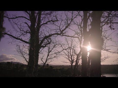 Ecos en el Paisaje - Producción vídeo