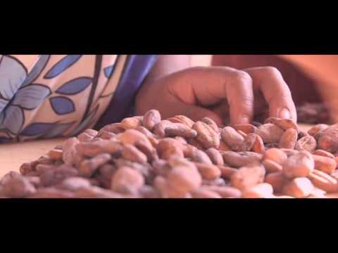 A la rencontre du cacao grand cru de Madagascar - Image de marque & branding