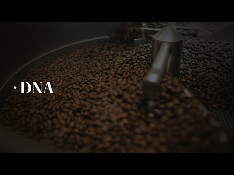 ANDES - DNA | VOZ - Image de marque & branding