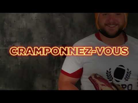 Hippo fait son XV - Stratégie digitale