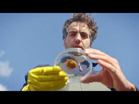 Studio Hendrikx | The Living Bin - Videoproduktion
