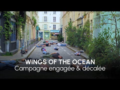 WINGS OF THE OCEAN : Sans l'océan on ne respire pas - Production Vidéo
