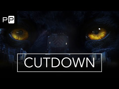 CUTDOWN THE BLACK PANTHER - Imagefilm - Grafikdesign