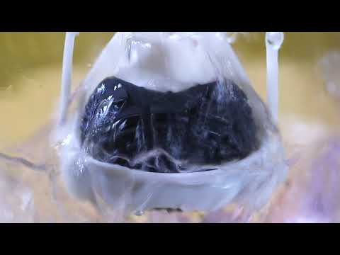 Flush Brush - Innovation