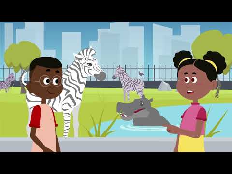 Educational Videos - Animation