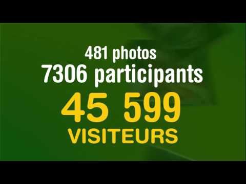 Brand activation campaign - Reclame