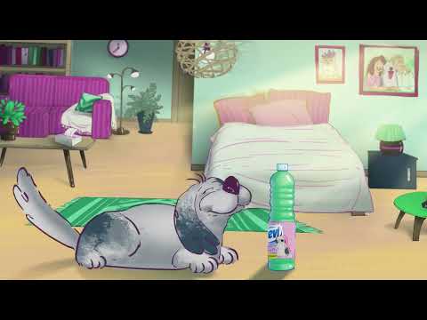 2D animation - Production Vidéo