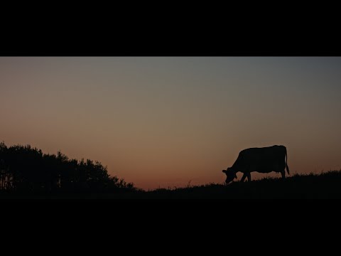 Farmer Stories - Producción vídeo