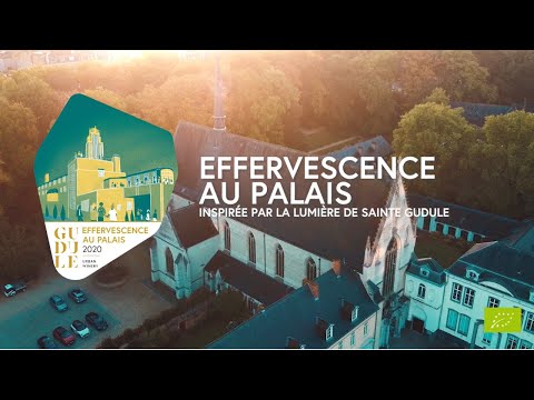 Effervescence au palais pour GUDULE Brussels - Image de marque & branding