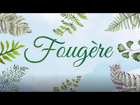 Fougère - Animation
