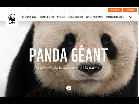 WWF France x Makheia - Stratégie de contenu