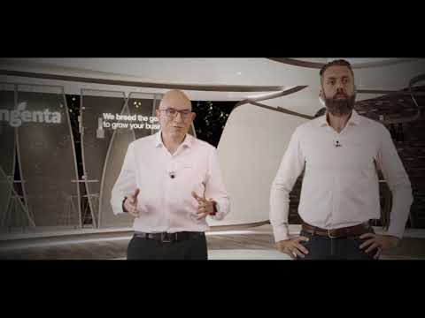 Syngenta's Success Story with Noisy - Eventos