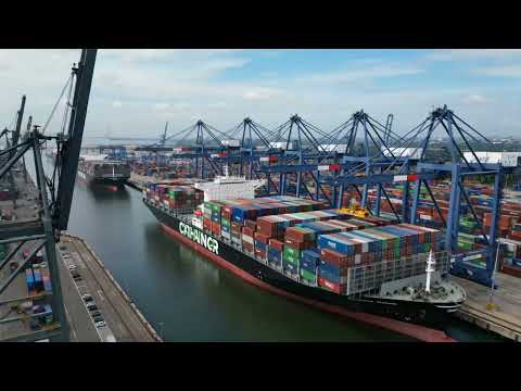 SADE Containers — ERP para la gestión completa de contenedores - Inteligencia Artificial