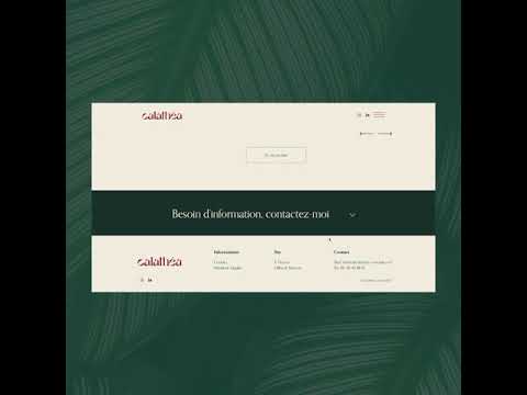 Calathea - Image de marque & branding
