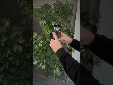 Contenido - Tracking Camera - 3D