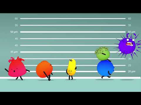 Serious game sensibilisation et prévention - Mobile App