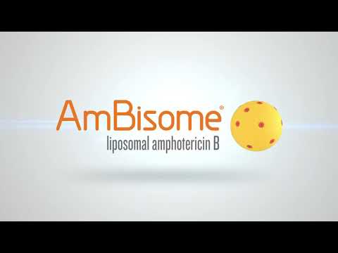 Ambisome Mode of Action 3D Video - Film