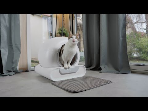 PETORYA - Publicité