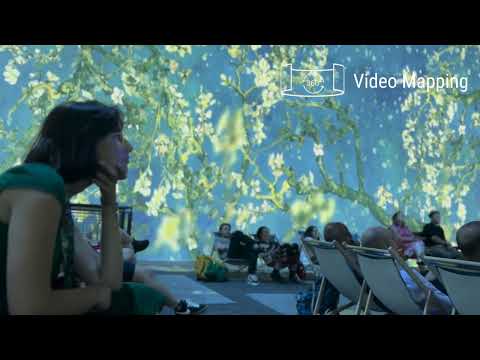 Van Gogh The Immersive Experience - 3D